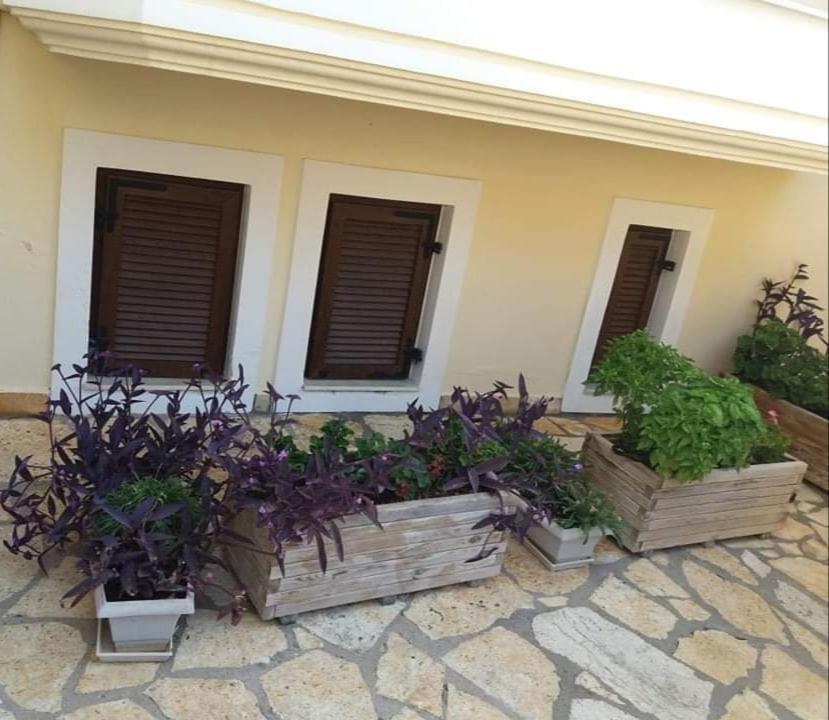 Villa Karolina Tsogkas Sívota Extérieur photo